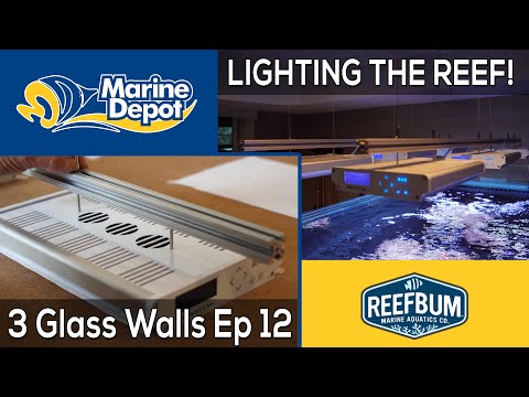 Lighting the Reef! 3 Glass Walls with Reefbum Part 12