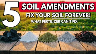 5 Secret Soil Amendments That Triple Your Harvest (Science-Backed Results)