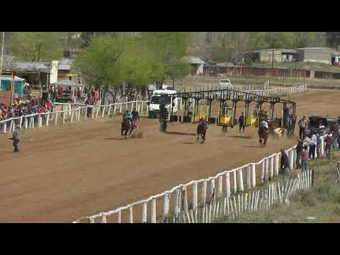 CENTRAL Club Hipico "Viento Sur"   Cutral Co 25-09-2022