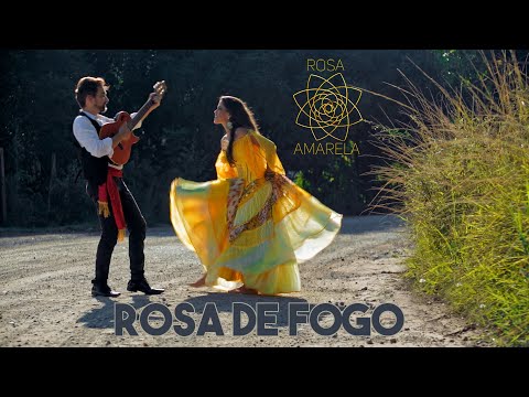 ROSA DE FOGO (CIGANOS) - Rosa Amarela