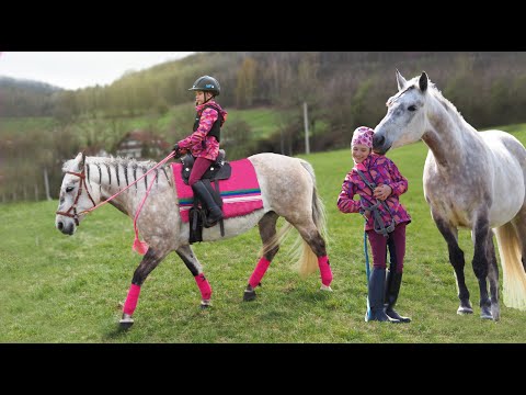 , title : 'Je mi osm a jezdím velkého koně ★Adélka trénuje s Megie'