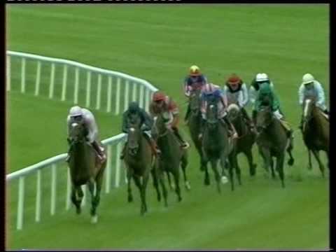 2002 Budweiser Irish Derby