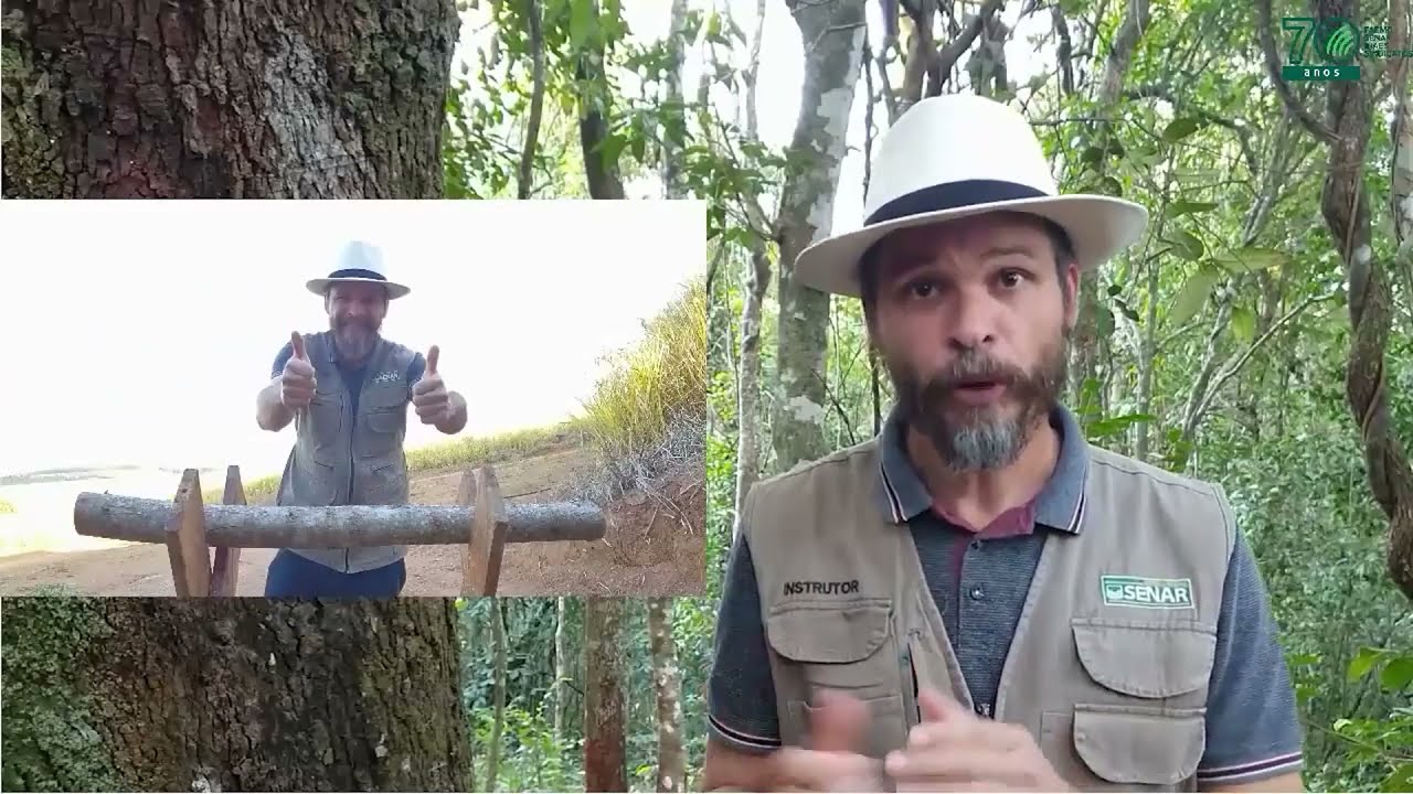 Inoculação do shiitake em toras