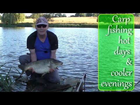 Carp fishing, hot days and cooler evenings with Andrew Bolderson - Adrenaline-Rush.