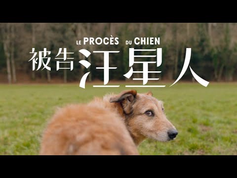 《#被告汪星人》狗咬人不稀奇，人告狗金促咪🐶