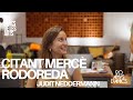Els Amics de les Arts - 'Citant Mercè Rodoreda' amb Judit Neddermann
