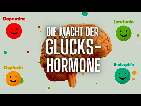 Happiness Hormones & Motivation | How Dopamine, Serotonin, Oxytocin, and Endorphins Work in the B...
