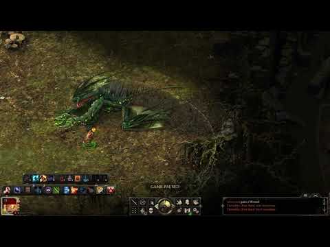 Pillars of Eternity - PotD Solo Monk - Bog Dragon - Llengrath