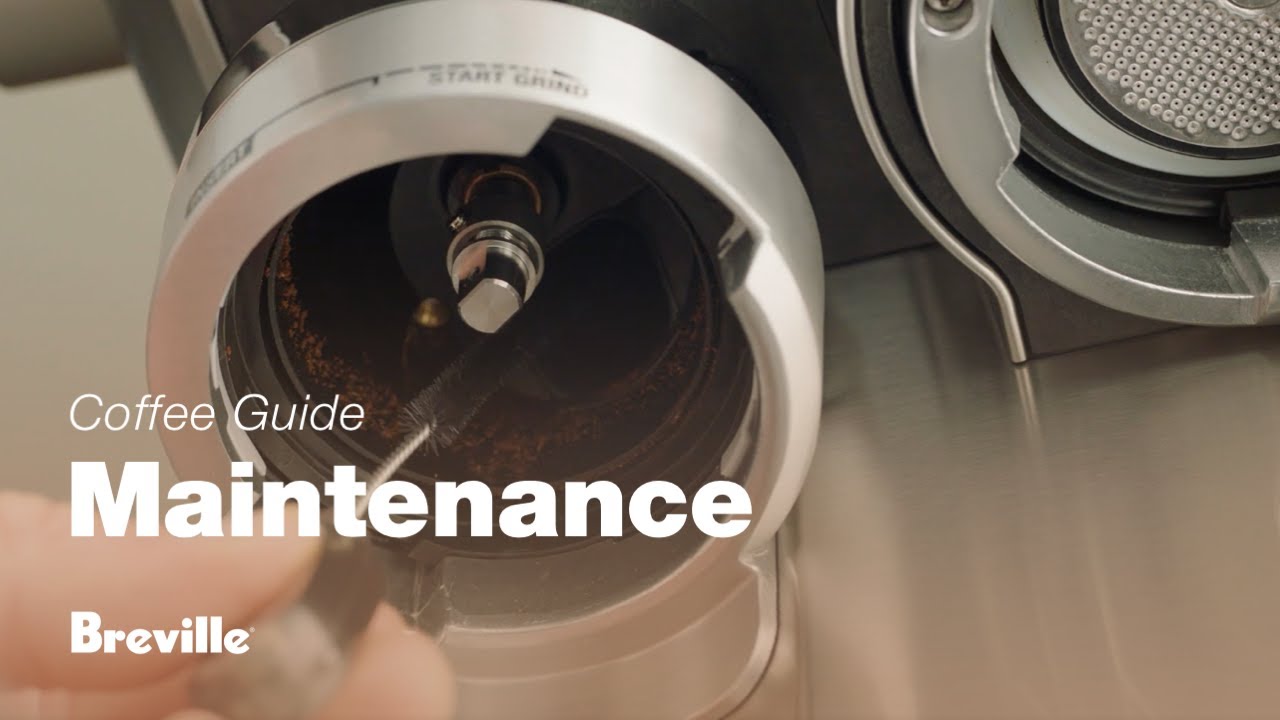 How to clean grinder conical burrs
