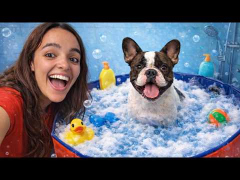 My dog ​​tried his bathtub for the first time 😳💦🐶 | More Andrade
