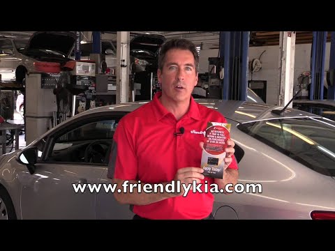 High End Car Dealers Reviews Tampa Florida Contact Us Now! (813) 374- 8972