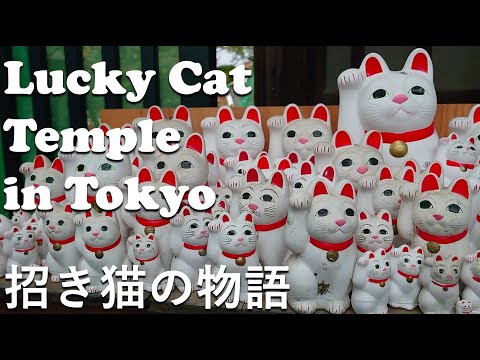 Tokyo Day Trip Lucky Cat Temple: The Legend of Maneki Neko 招き猫の伝説