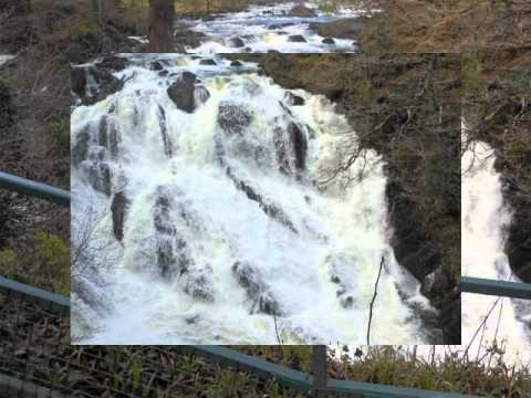 PRIVESC INSPRE CERURI (negativ)