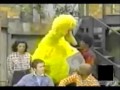 Big Bird learns about death