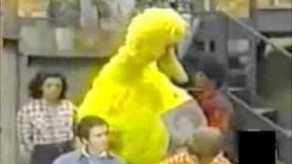 Big Bird learns about death