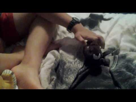 Pokemon league results