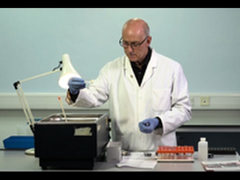 NEW: Lab Manual Videos