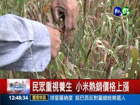 小米價新高 1斤120元米農笑開懷