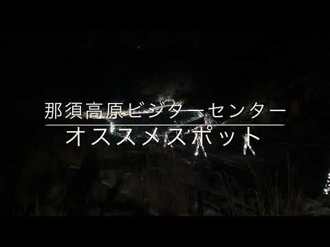 那須高原ビジターセンター　オススメスポットvol.10　殺生石ライトアップイベント　＃日光国立公園　＃那須　＃殺生石　＃ライトアップ　＃九尾の狐　＃Nine_Tailed_Fox　＃入場無料