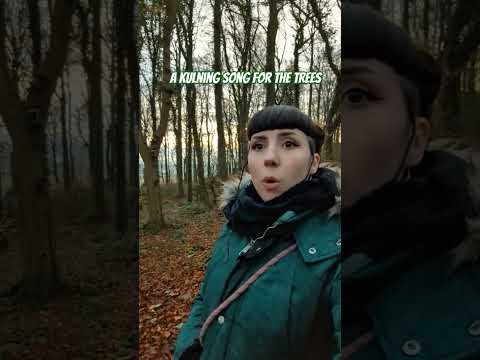 Just me! Not a fae trap #kulning #faetrap #singinginpublic #siningintheforest