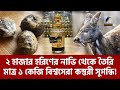 Musk Deer Deer Musk Deer Deer Musk Deer Deer Musk Deer Deer Musk Deer Deer Deer Deer Deer Deer