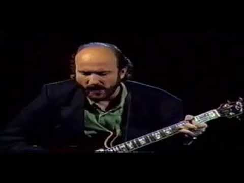 john scofield shreds