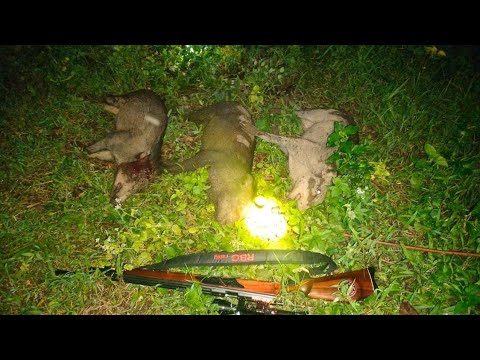 tes monel rbg rabig murah