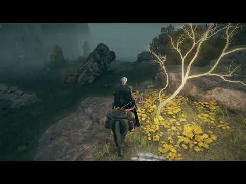 Elden Ring item 172 Golden Seed