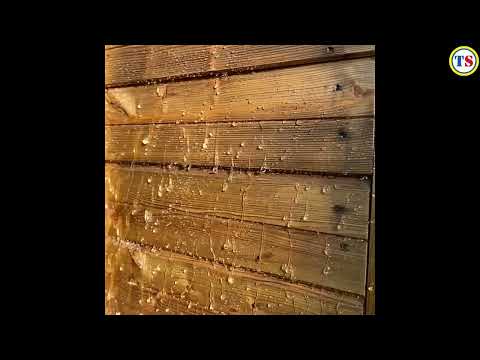 How to protect wood against insects & fungi with Barrettine Clear Wood Preserver | Toolstation