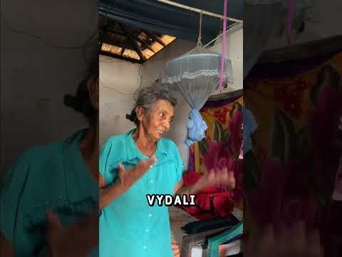 Pomáhejme si 🐕🧡 Koukni na náš nový vlog, který je plný pejsků a sluníčka ☀️🧡 #cestovani #travel