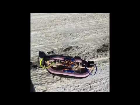 Hovercraft Number 10.