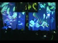 Keller Williams - Floating on Freshies