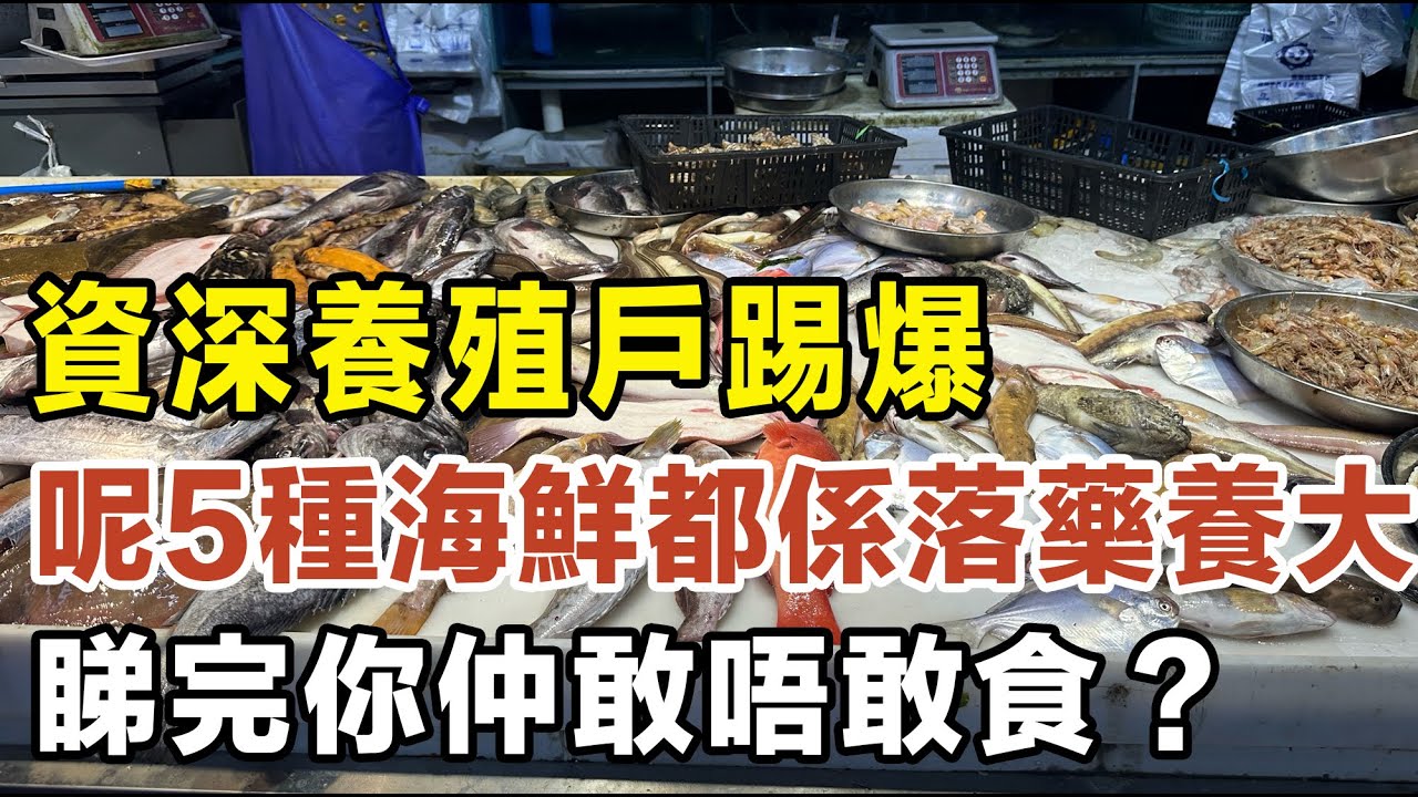 資深養殖戶踢爆：呢5種海鮮全部都係落藥養大㗎，睇完你仲敢唔敢食？ #健康你要知 #養生唔好中伏 #食物真相揭秘 #廚房智慧 #飲食要清淡 #食得健康 #你唔知的營養知識 #銀髮族 #街市買餸攻略