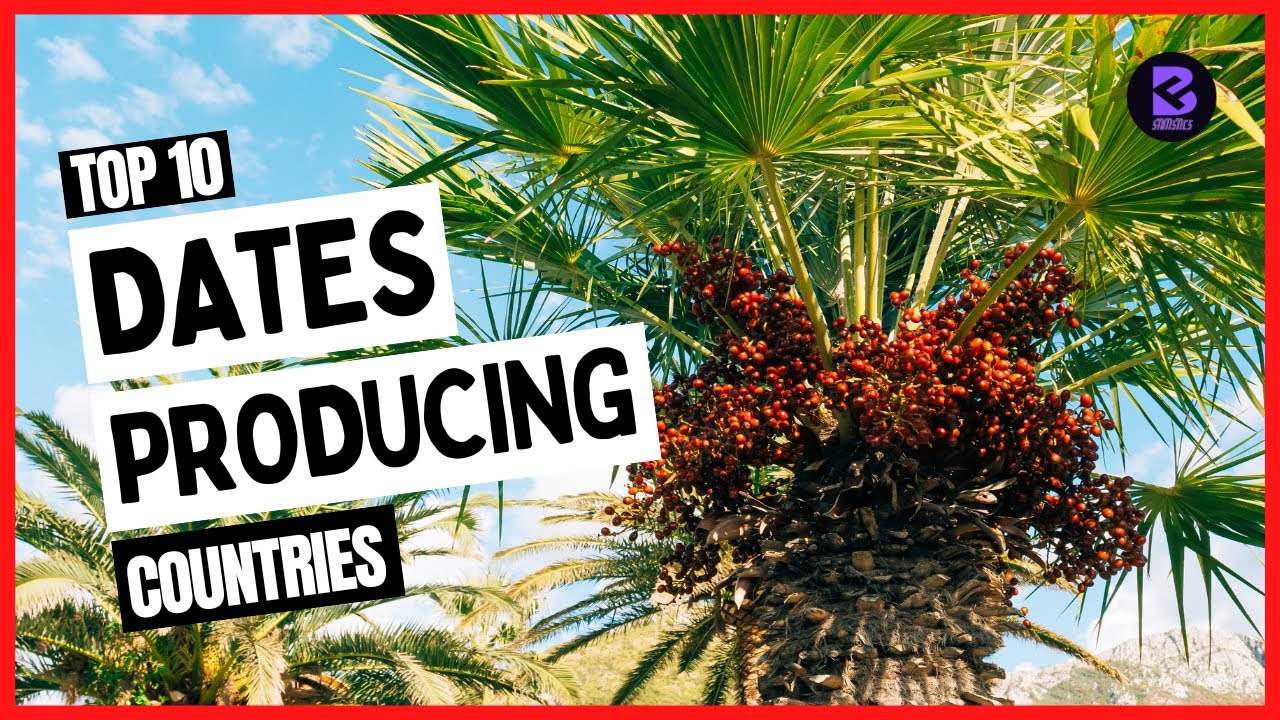 Top 10 Largest Dates Producing Countries in the World 2021 #top10 #dates #countries