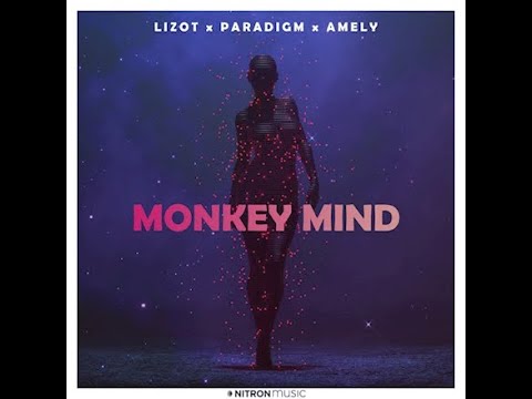 Monkey Mind - LIZOT x Paradigm x AMELY x Crypto Beat Remix