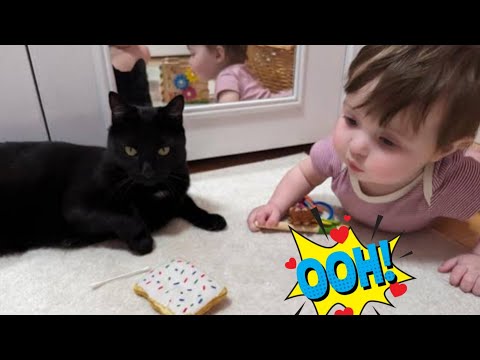 Funniest baby And Cat 😻 Are best friends|| together playing 🐈