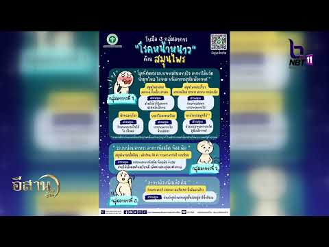 รับมือ 3 กลุ่มอาการ “โรคหน้าหนาว” ด้วยสมุนไพร NBT UBON 210168