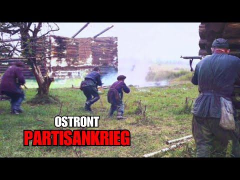 Im Inneren des Waldkriegs, der die deutschen Anti-Partisanen-Einheiten brach | Ostfront