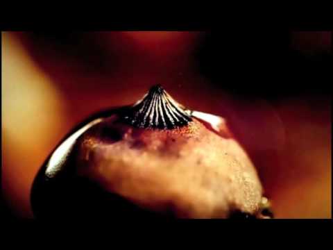 Mark Sebastian Wolfe: Magic Journey Magic journey - D major (the unfolding journey)