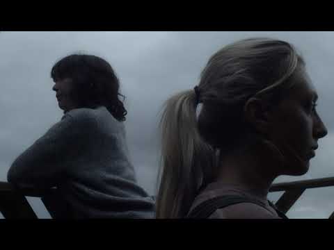 Two Seagulls - Niamh Regan