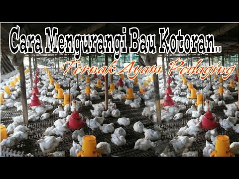 Aparatus untuk pembesaran penis buy Mengurangi potensi obat
