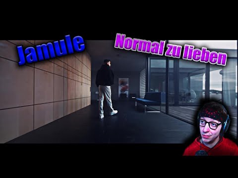 ProjektPi REACTS to Jamule - Normal zu lieben
