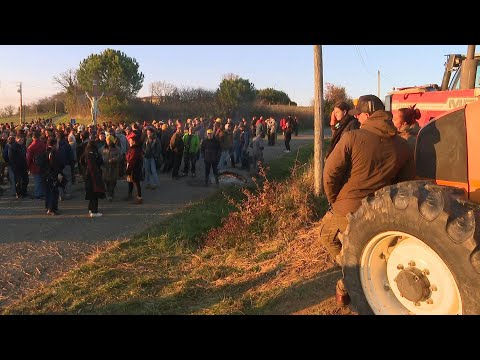Video | French farmers rally at farm against lumpy skin disease culls | AFP