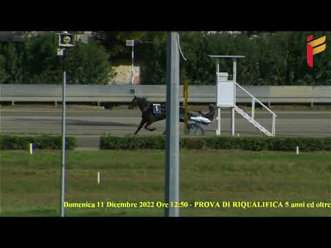 II corsa del 11 dicembre 2022 - 3 Anni - Metri 1600