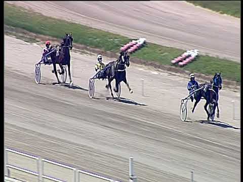 Trotto 17/05/2019 - prova di qualifica