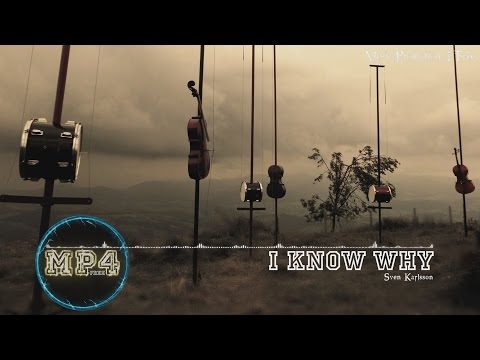 I Know Why by Sven Karlsson - [Acoustic Group Music]