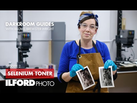 Selenium Toning - ILFORD Photo Darkroom guides -  Episode 2
