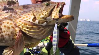 Download lagu Storm Gomoku Koika - Slow-fall Jigging Revolution! mp3