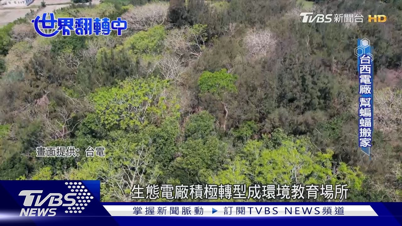 與生態借地 還更好的家!台電學與「蝙蝠、候鳥」共存