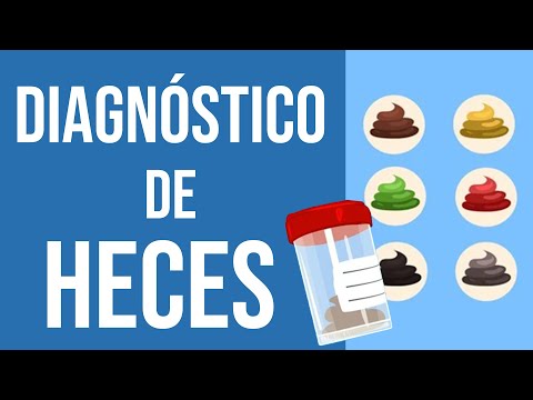 💩 Las heces como INDICADORES DE SALUD 🧫 [Aprende a analizarlas] 🔎